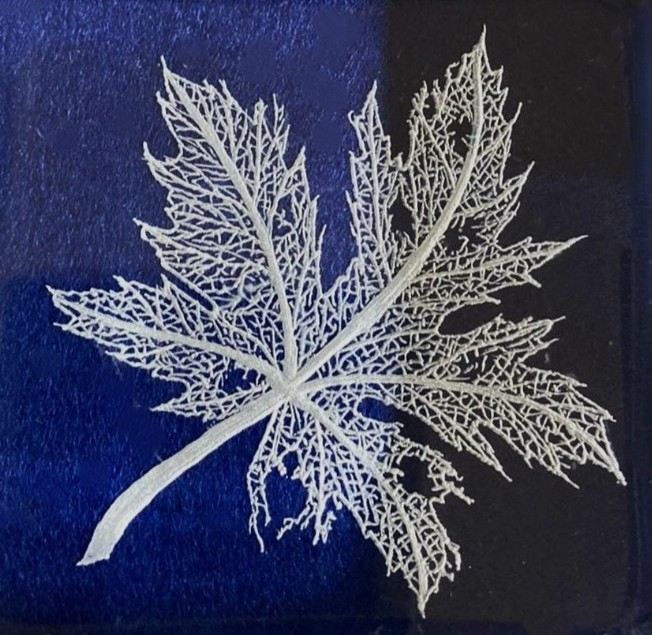 Skeleton Leaf